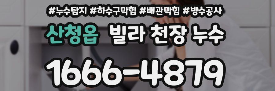 산청읍 빌라 천장 누수