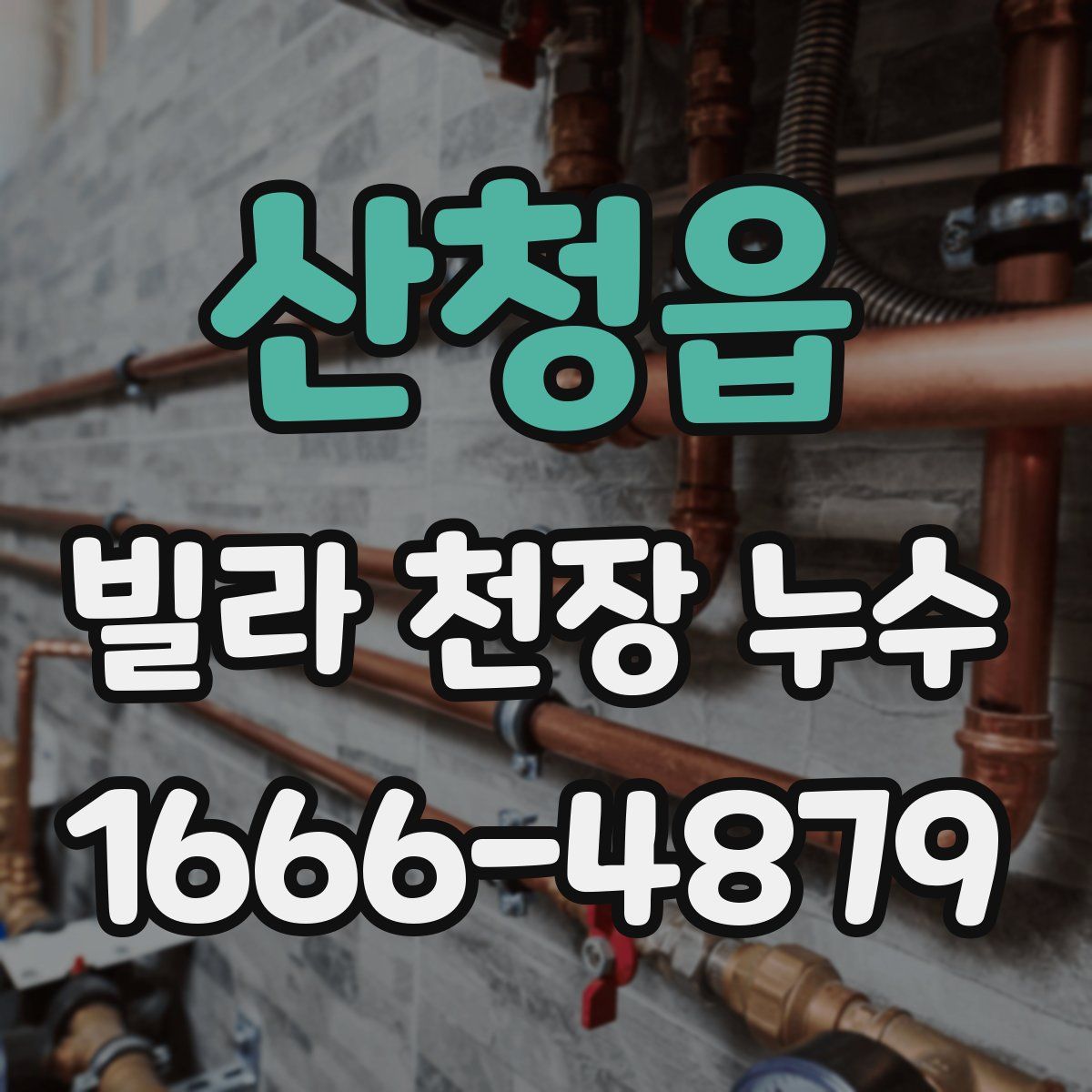 산청읍 빌라 천장 누수