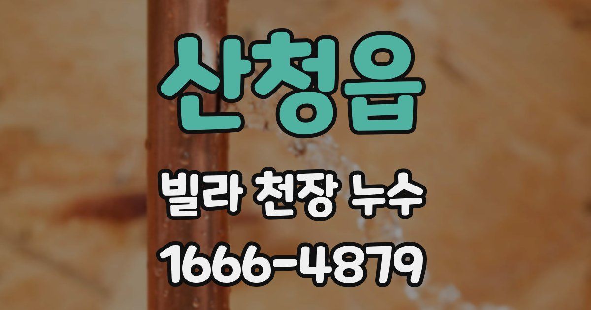 산청읍 빌라 천장 누수