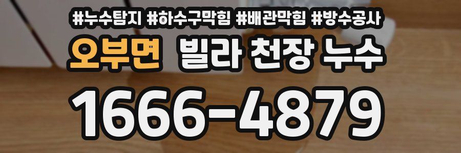 오부면 빌라 천장 누수