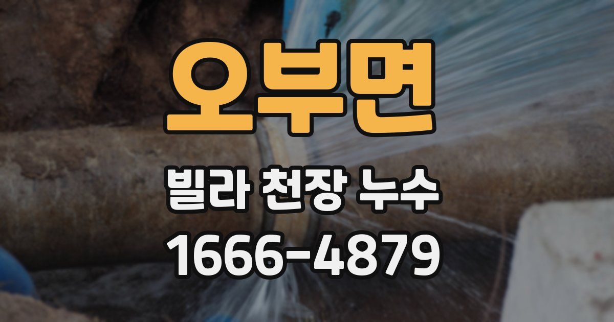 오부면 빌라 천장 누수