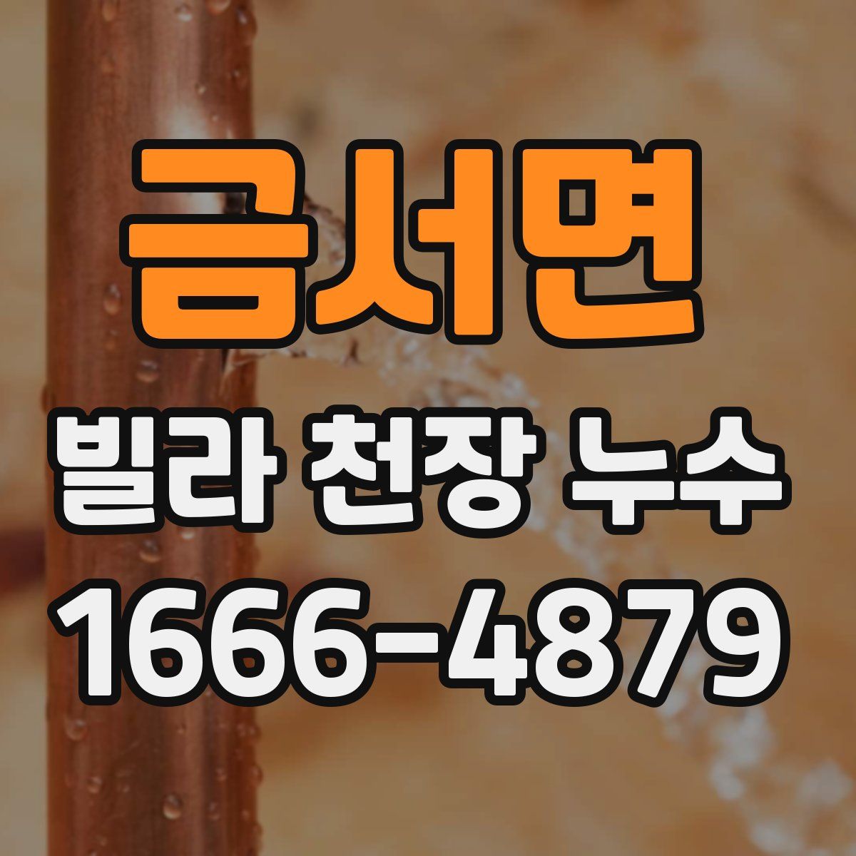 금서면 빌라 천장 누수