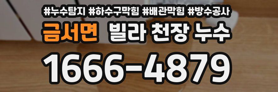 금서면 빌라 천장 누수