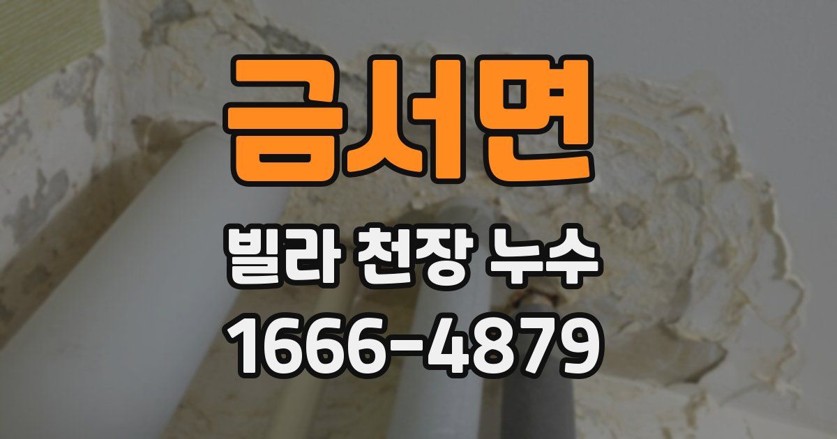 금서면 빌라 천장 누수
