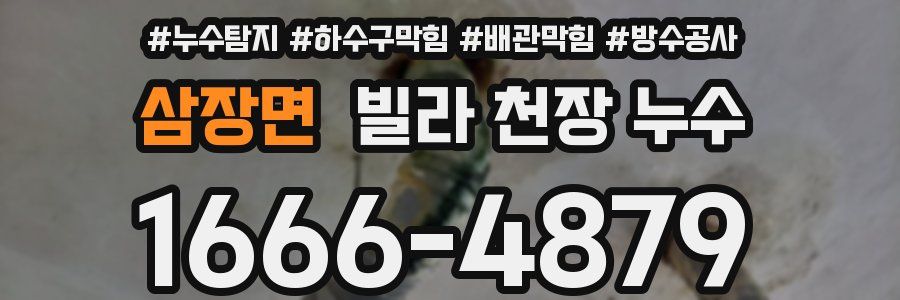 삼장면 빌라 천장 누수