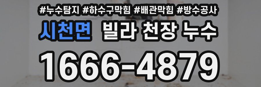 시천면 빌라 천장 누수