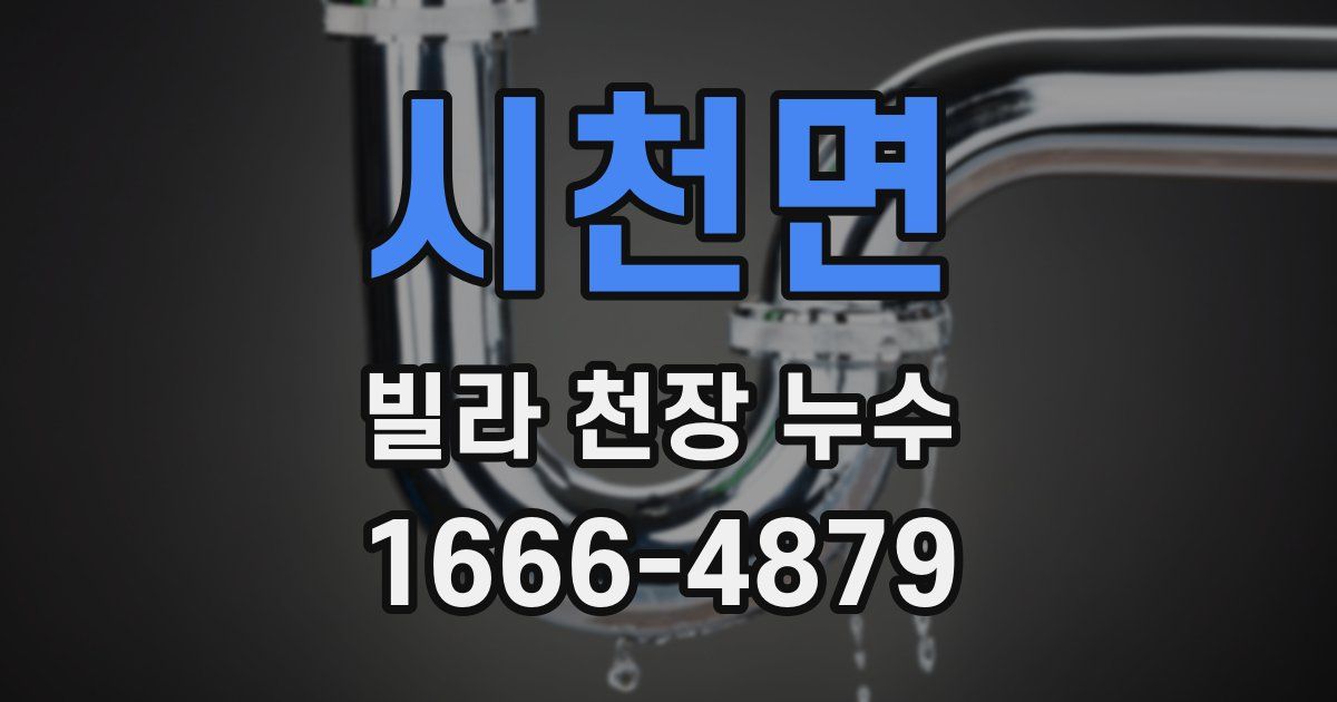 시천면 빌라 천장 누수
