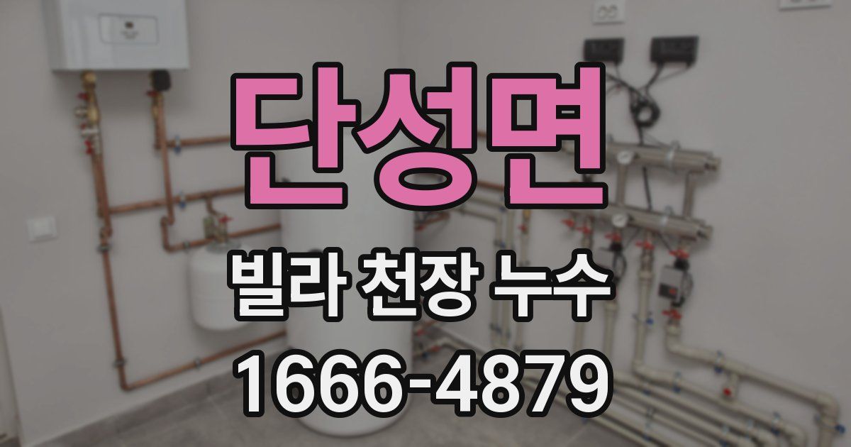 단성면 빌라 천장 누수