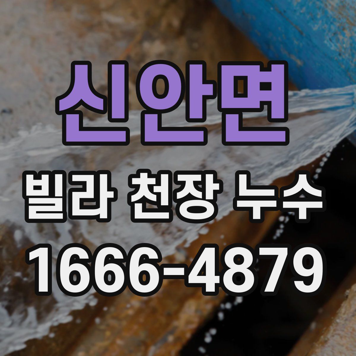 신안면 빌라 천장 누수