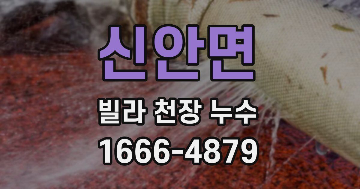 신안면 빌라 천장 누수