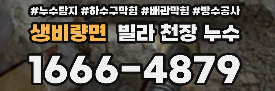 생비량면 빌라 천장 누수