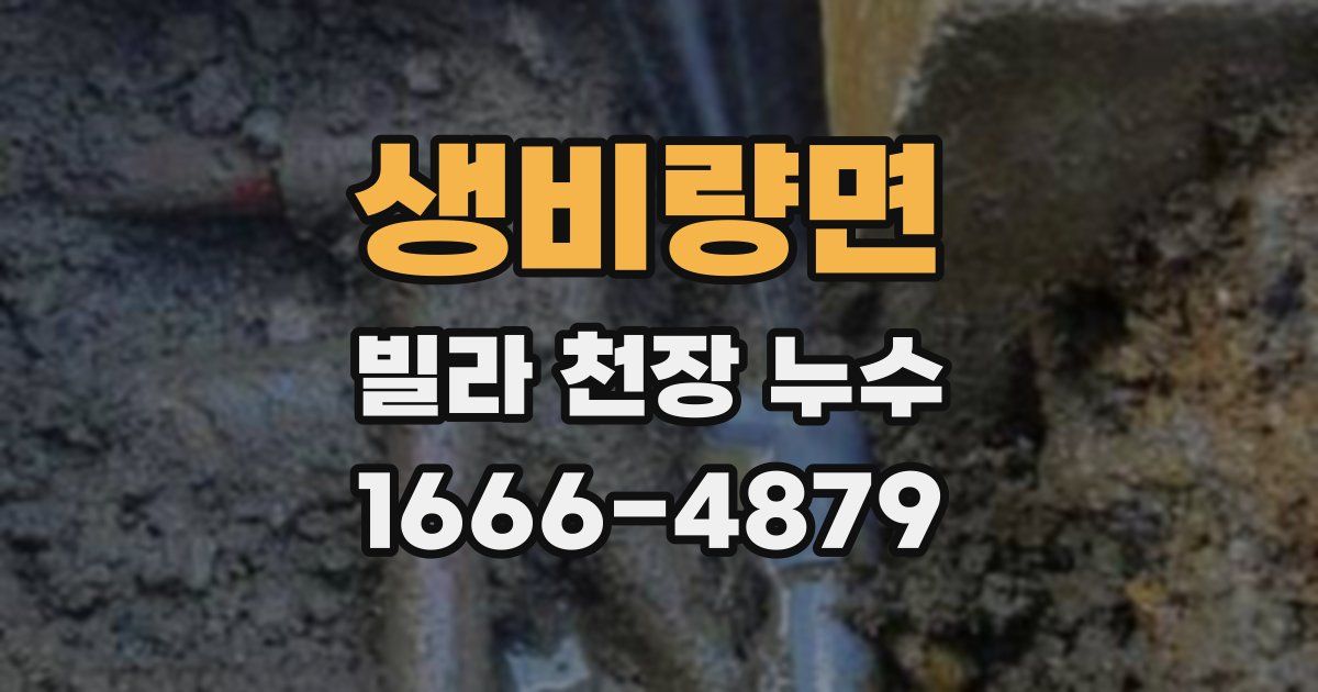 생비량면 빌라 천장 누수