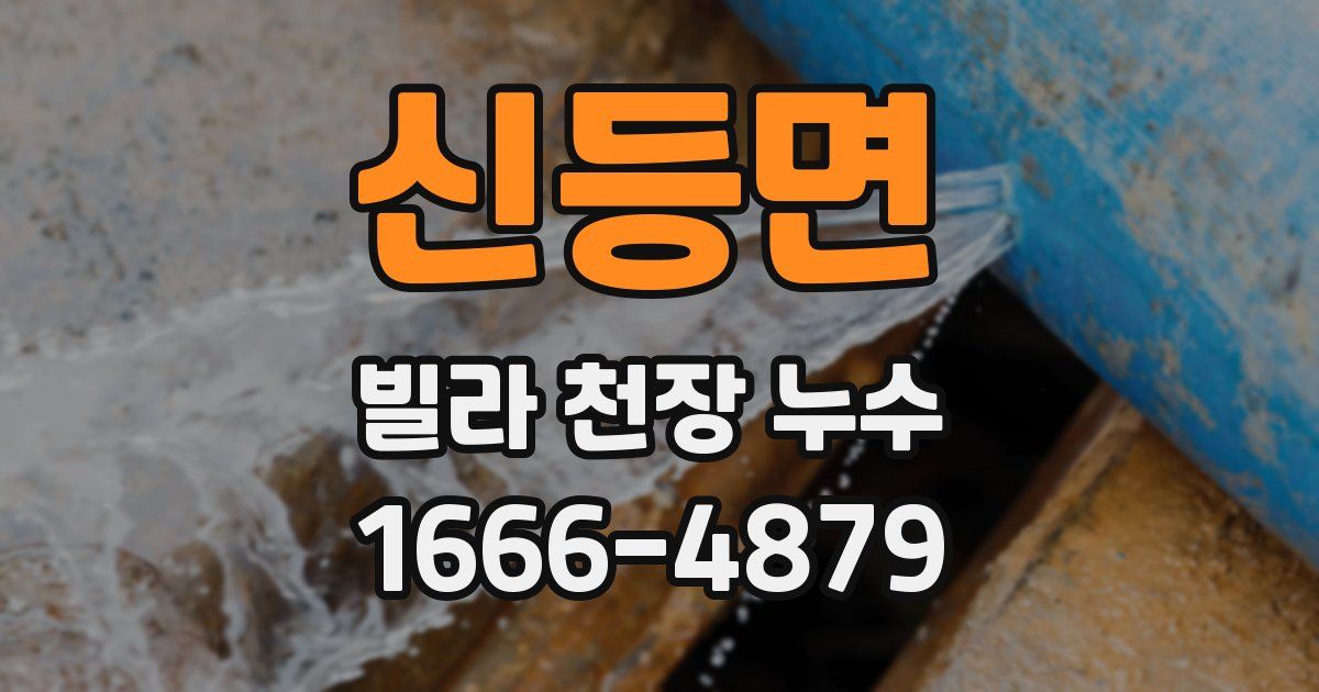 신등면 빌라 천장 누수