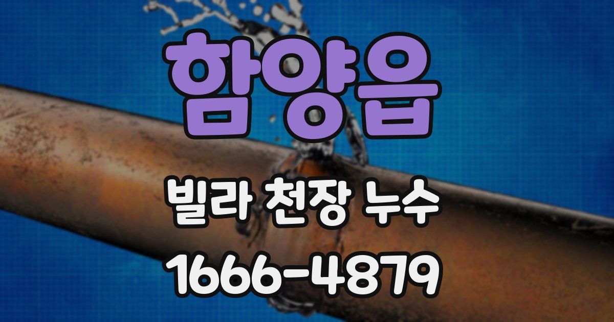 함양읍 빌라 천장 누수