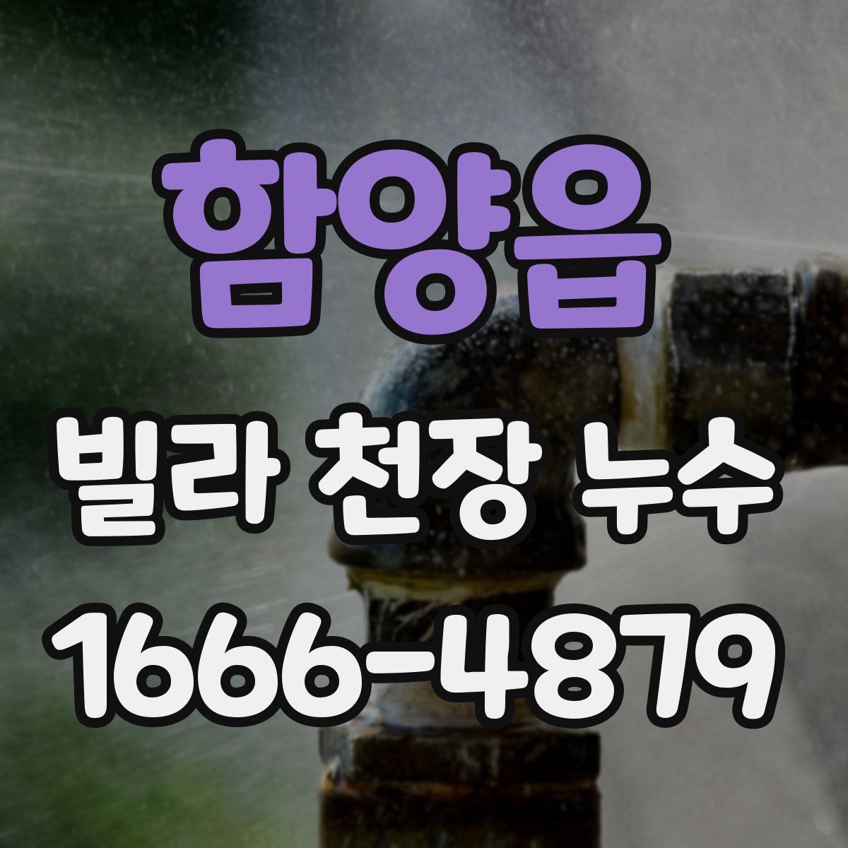 함양읍 빌라 천장 누수
