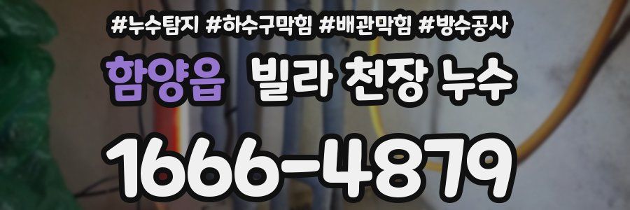 함양읍 빌라 천장 누수