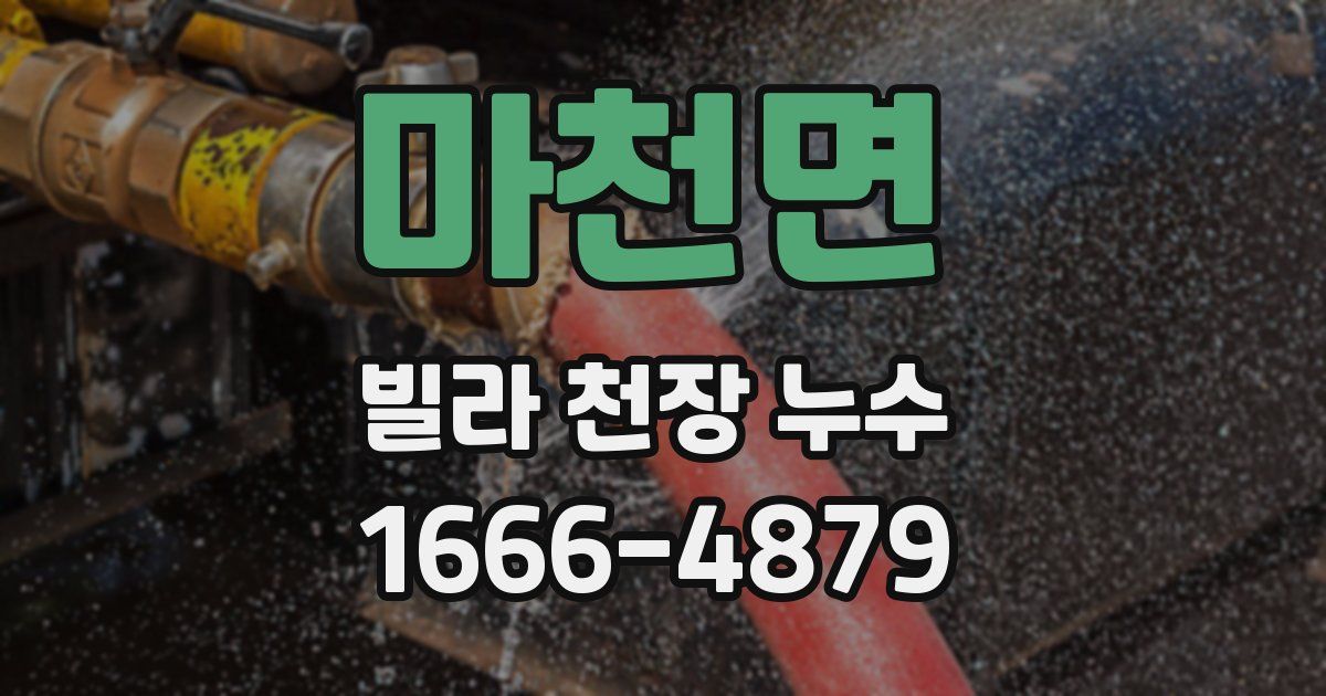 마천면 빌라 천장 누수