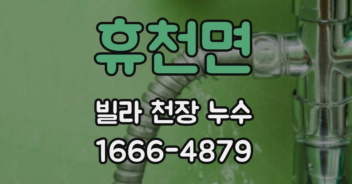 휴천면 빌라 천장 누수