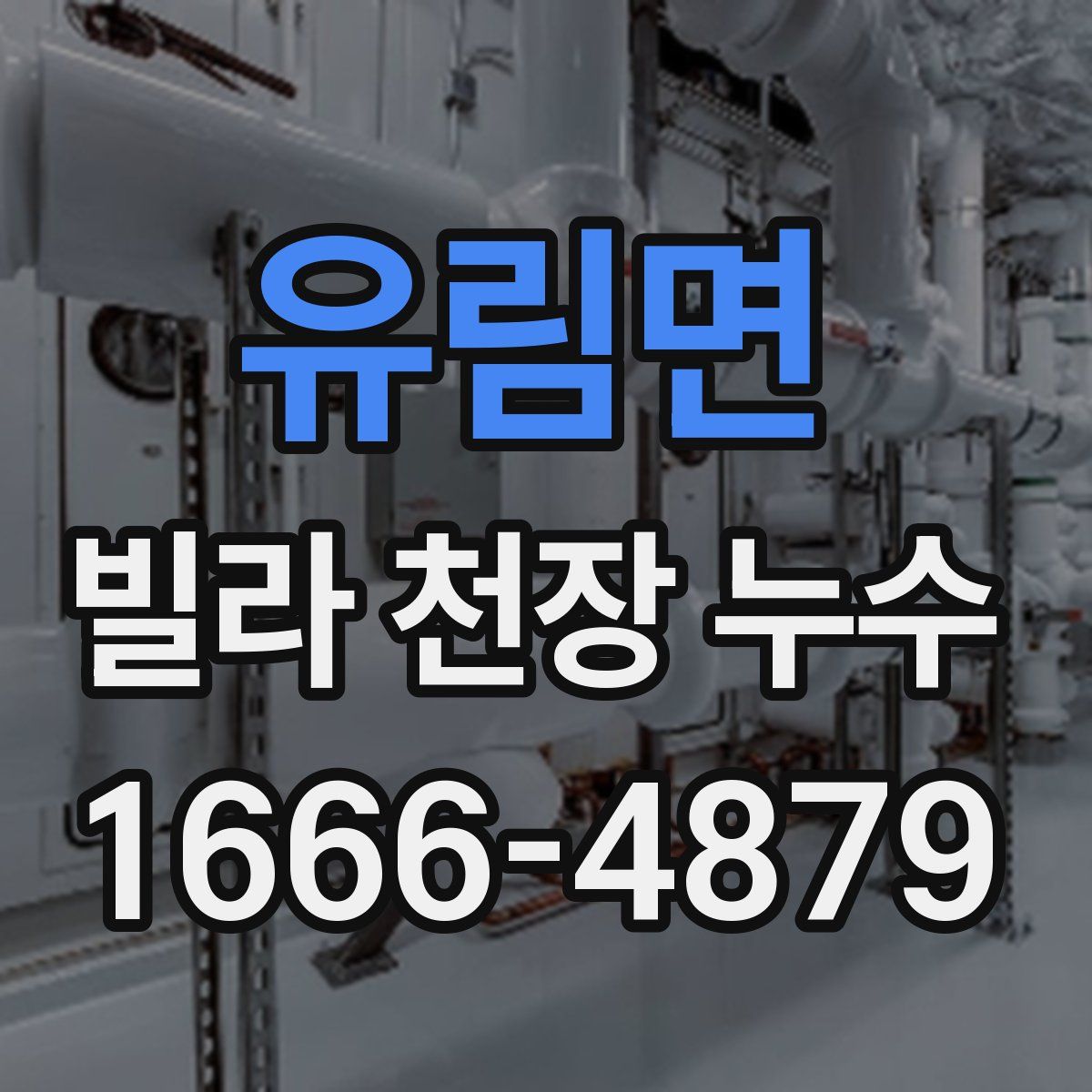 유림면 빌라 천장 누수
