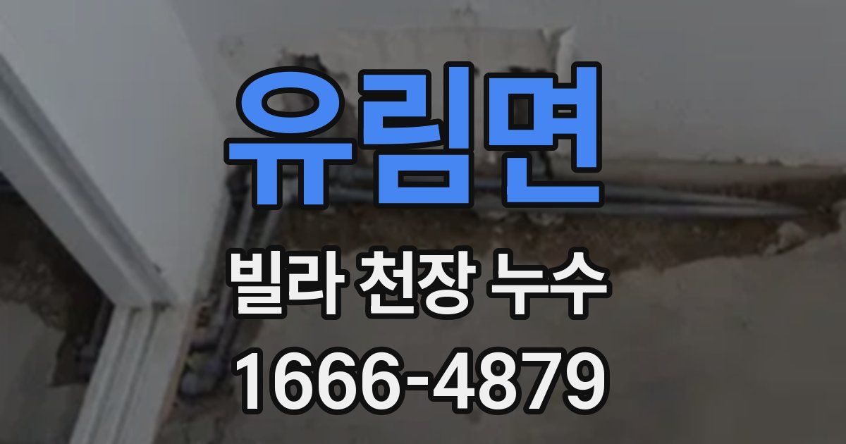 유림면 빌라 천장 누수