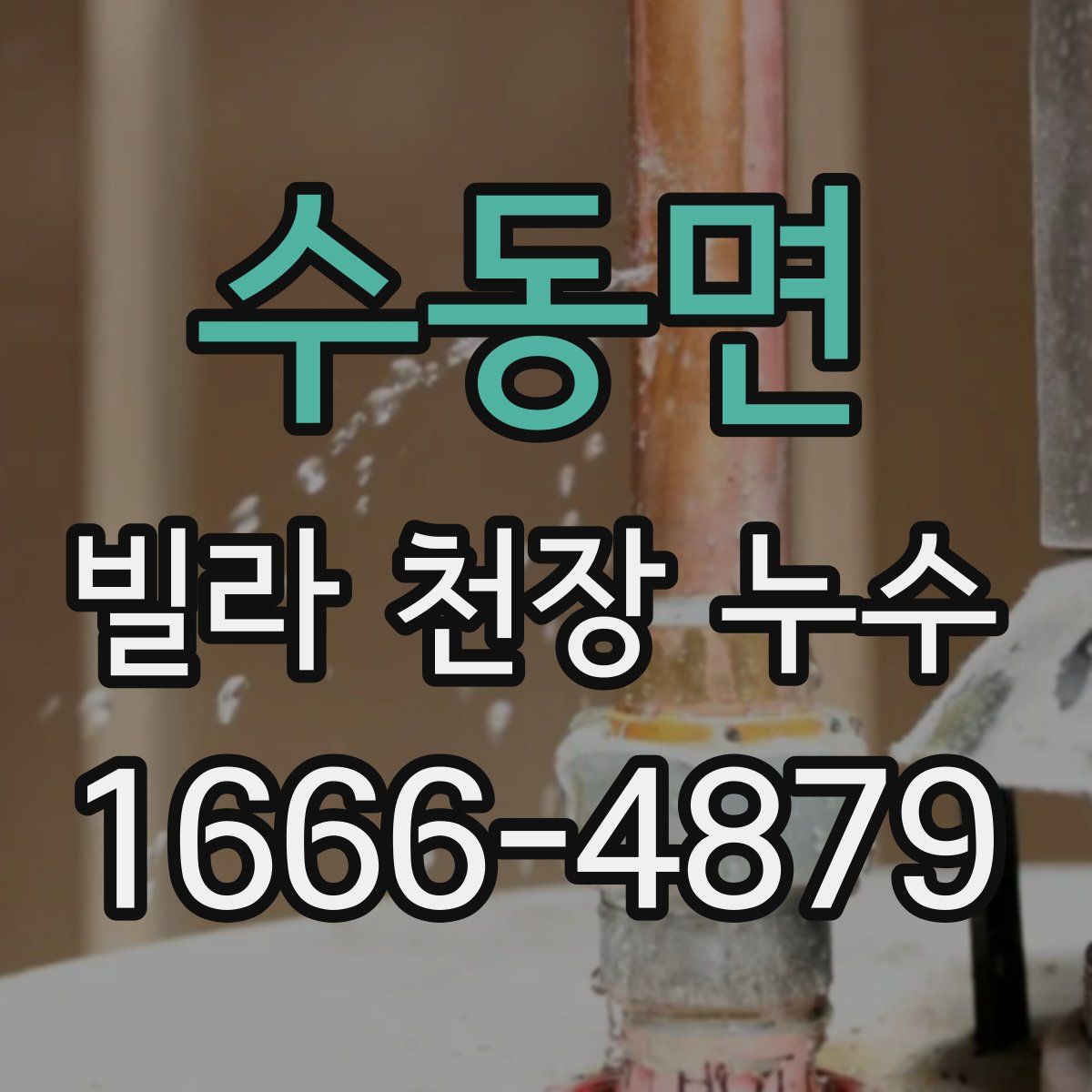 수동면 빌라 천장 누수