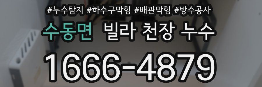 수동면 빌라 천장 누수
