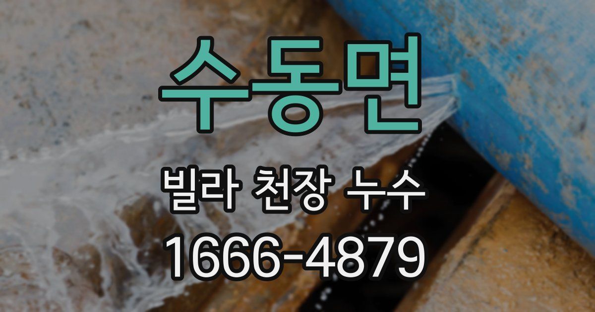 수동면 빌라 천장 누수
