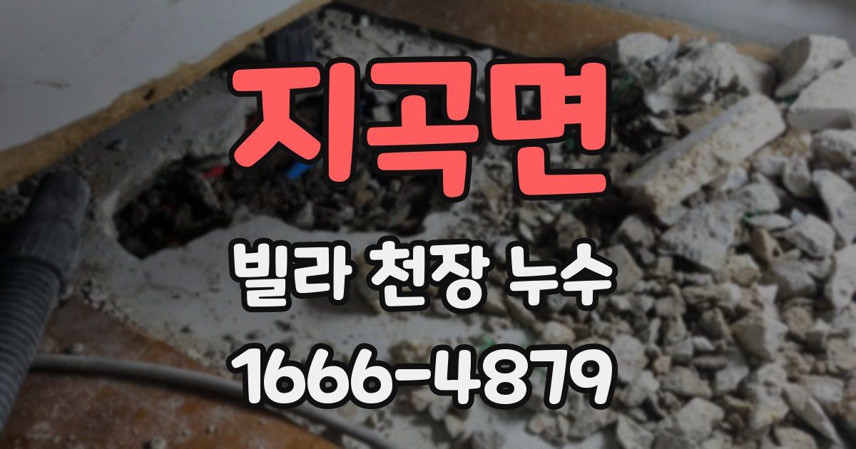 지곡면 빌라 천장 누수