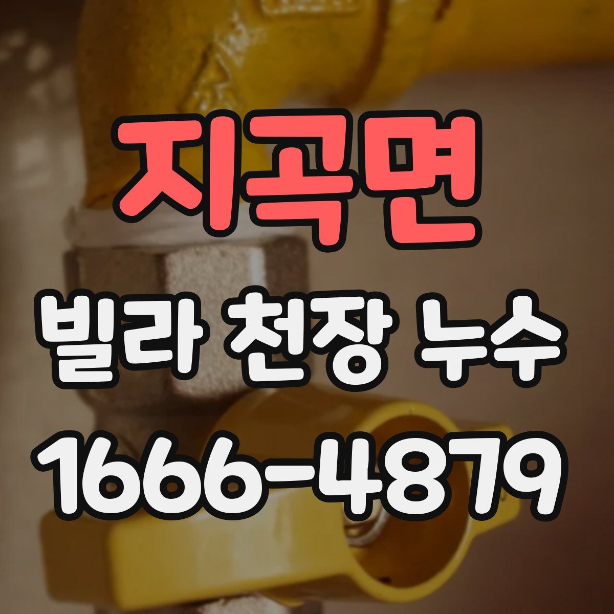 지곡면 빌라 천장 누수