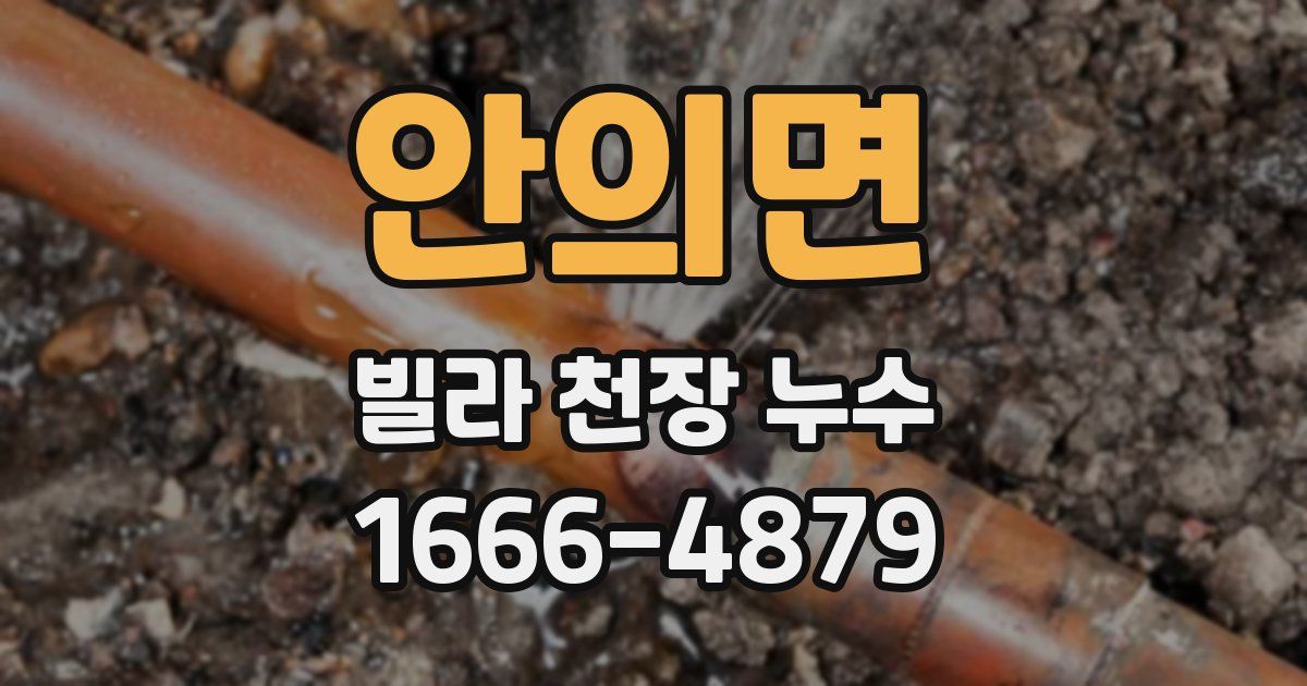 안의면 빌라 천장 누수