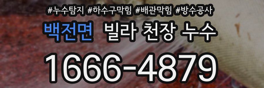 백전면 빌라 천장 누수