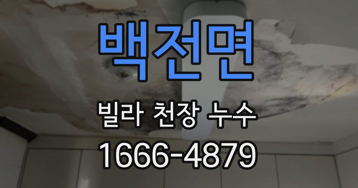 백전면 빌라 천장 누수