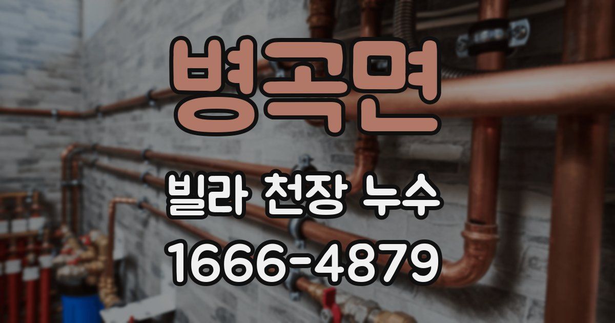 병곡면 빌라 천장 누수