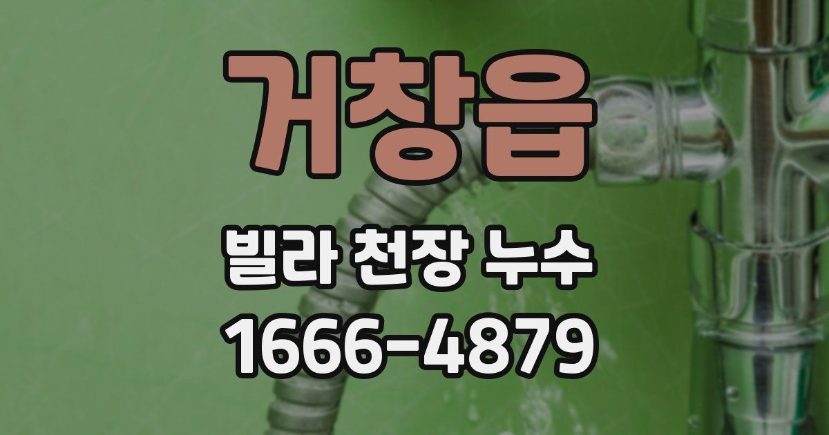 거창읍 빌라 천장 누수