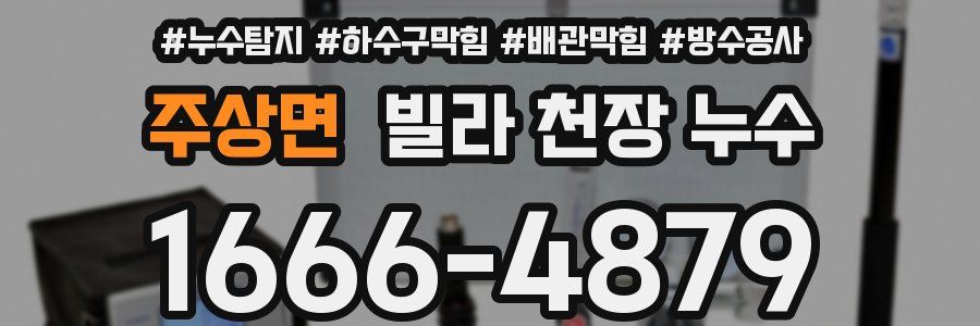 주상면 빌라 천장 누수