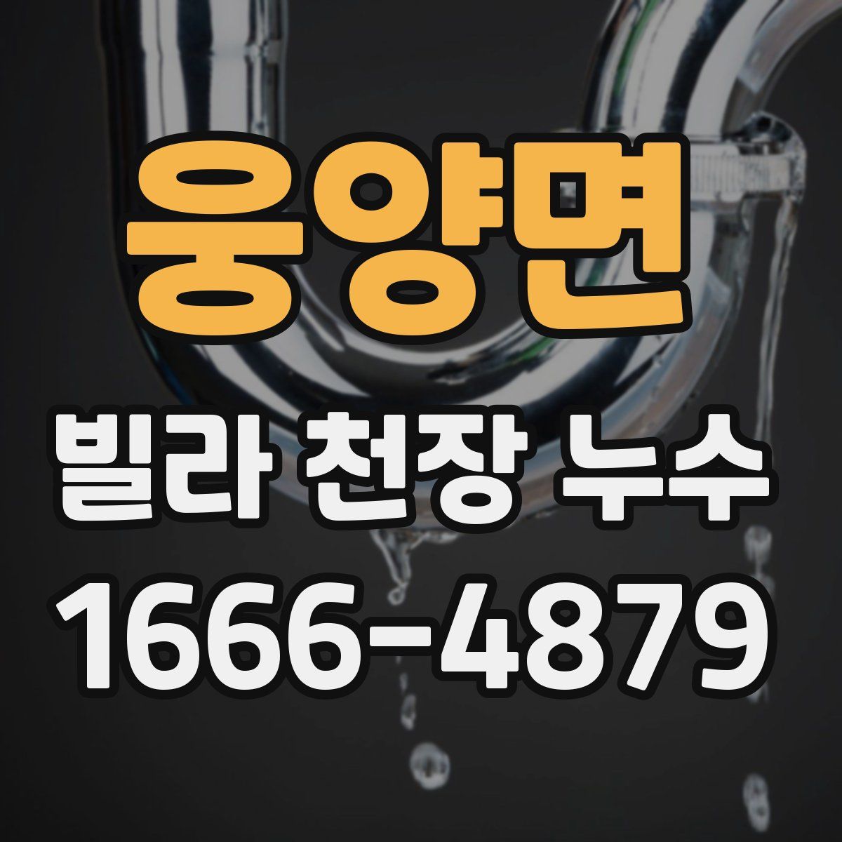 웅양면 빌라 천장 누수