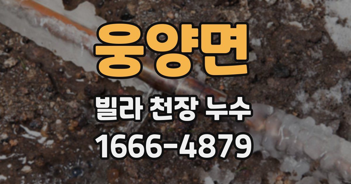 웅양면 빌라 천장 누수