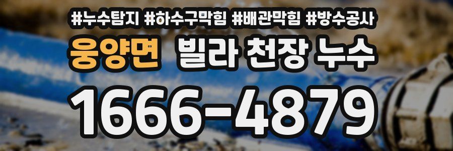 웅양면 빌라 천장 누수