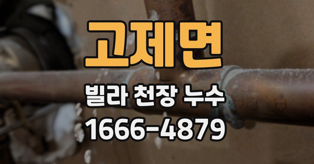 고제면 빌라 천장 누수