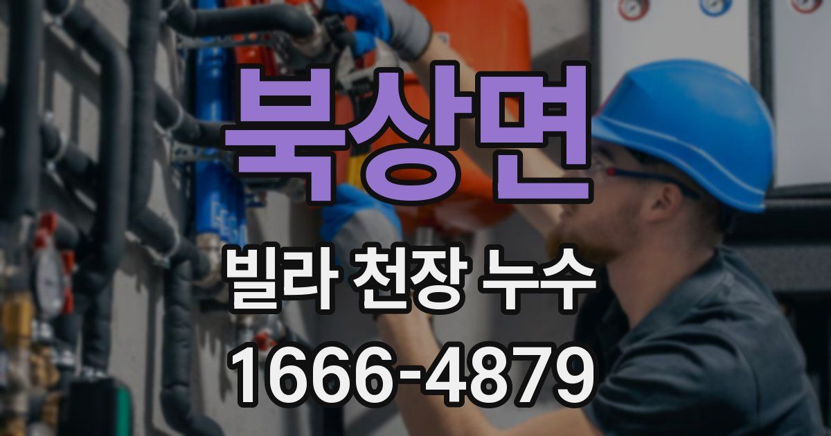 북상면 빌라 천장 누수