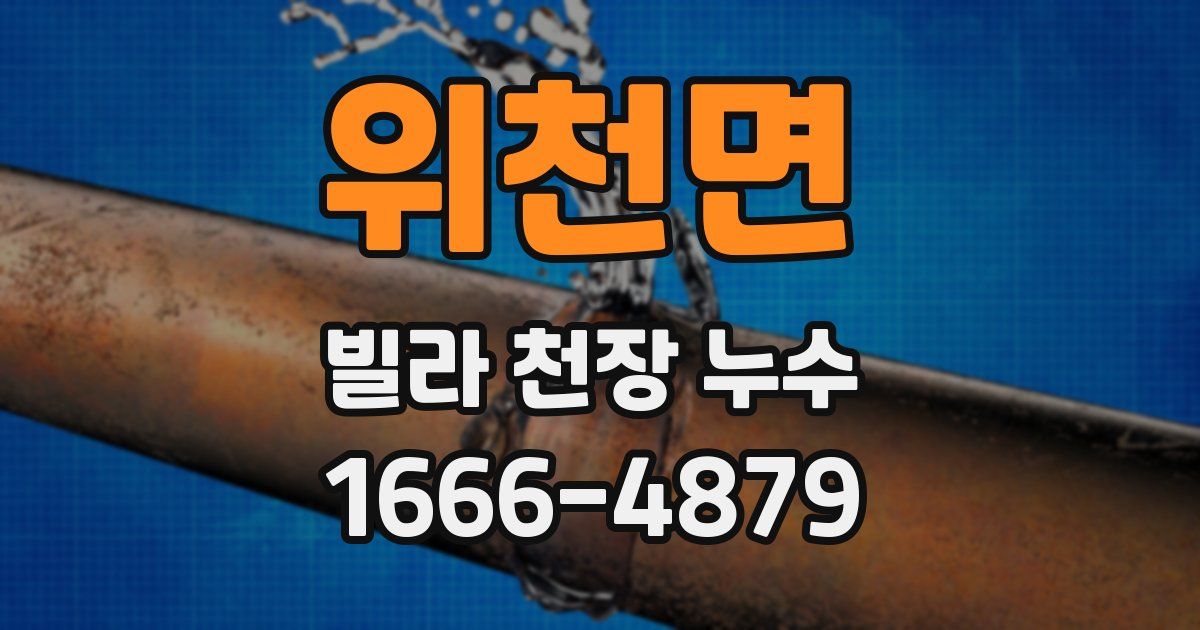 위천면 빌라 천장 누수