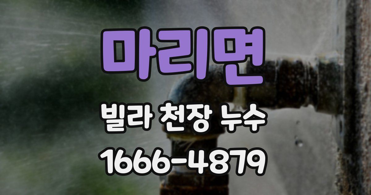 마리면 빌라 천장 누수