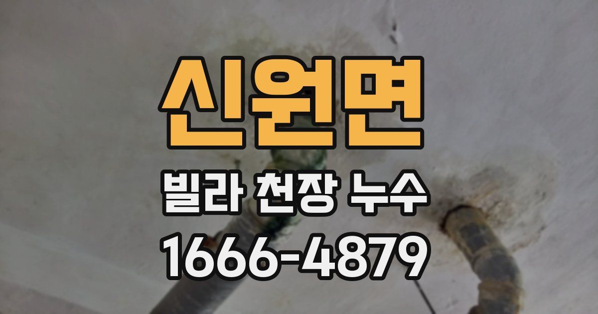 신원면 빌라 천장 누수
