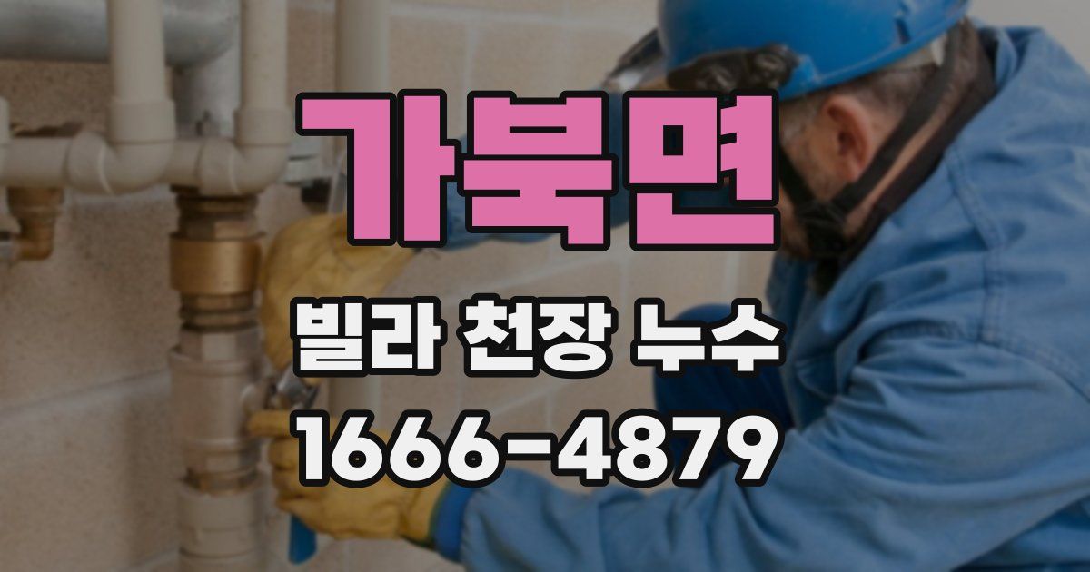 가북면 빌라 천장 누수
