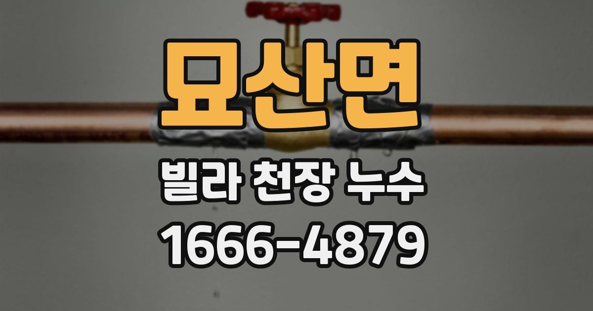 묘산면 빌라 천장 누수