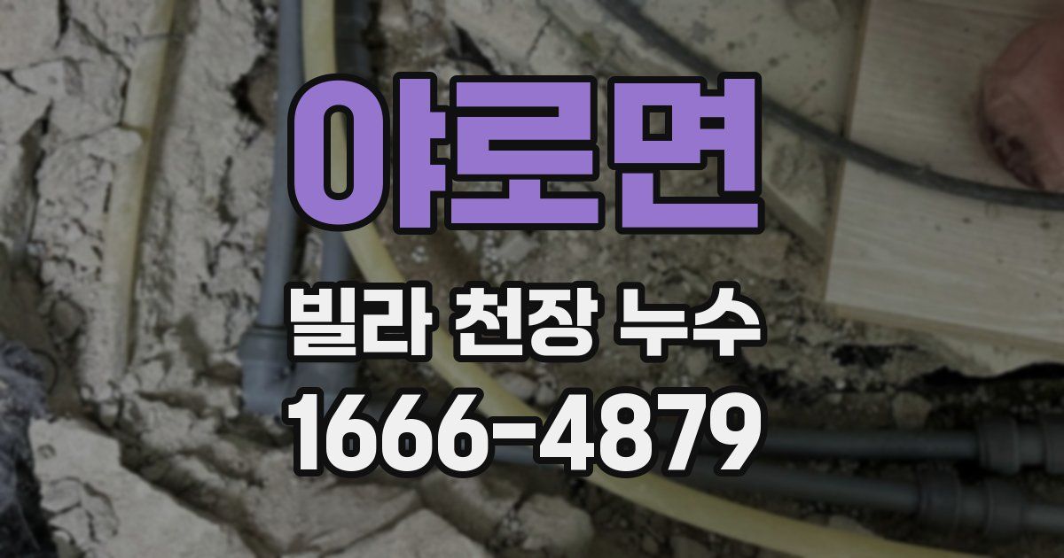 야로면 빌라 천장 누수