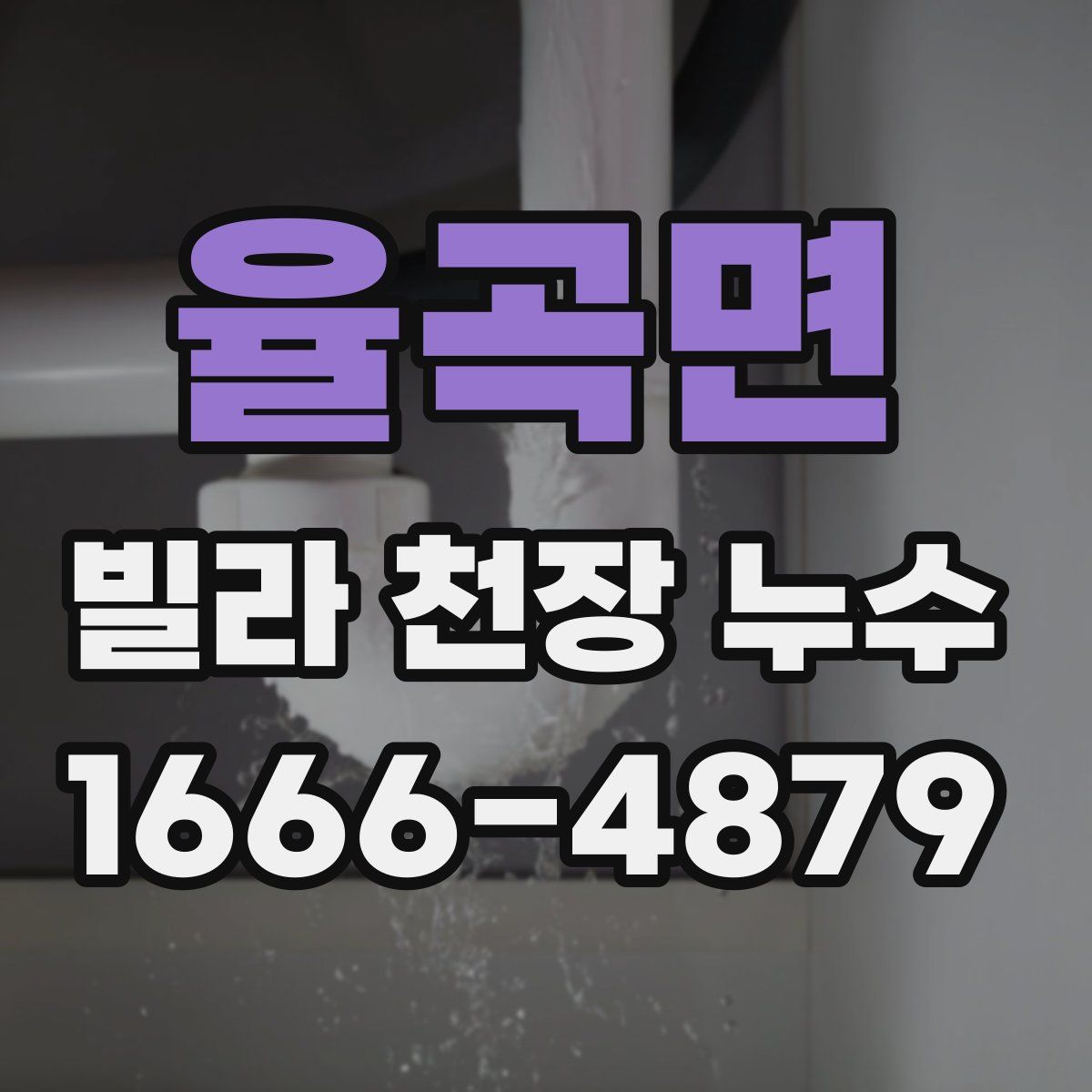 율곡면 빌라 천장 누수