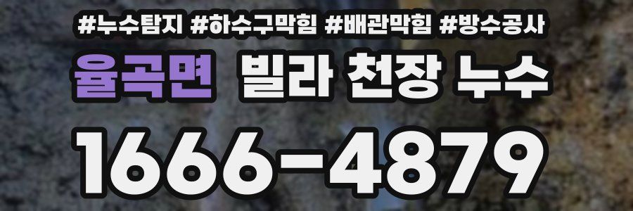 율곡면 빌라 천장 누수