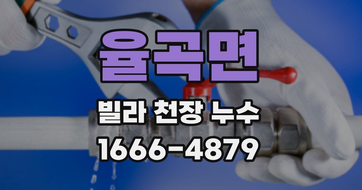 율곡면 빌라 천장 누수