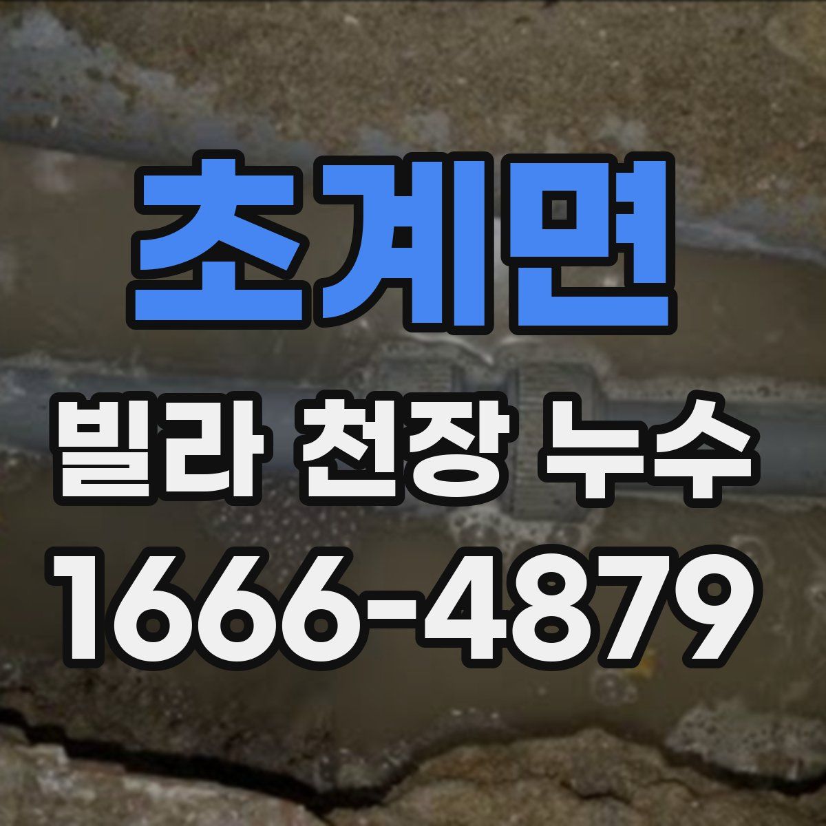 초계면 빌라 천장 누수
